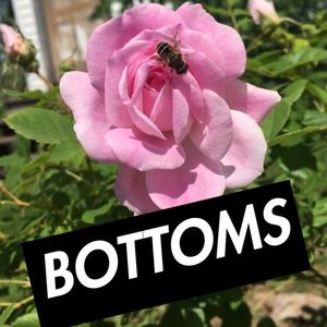 I discount bundle orders!